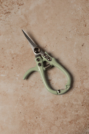 Pruning Shears