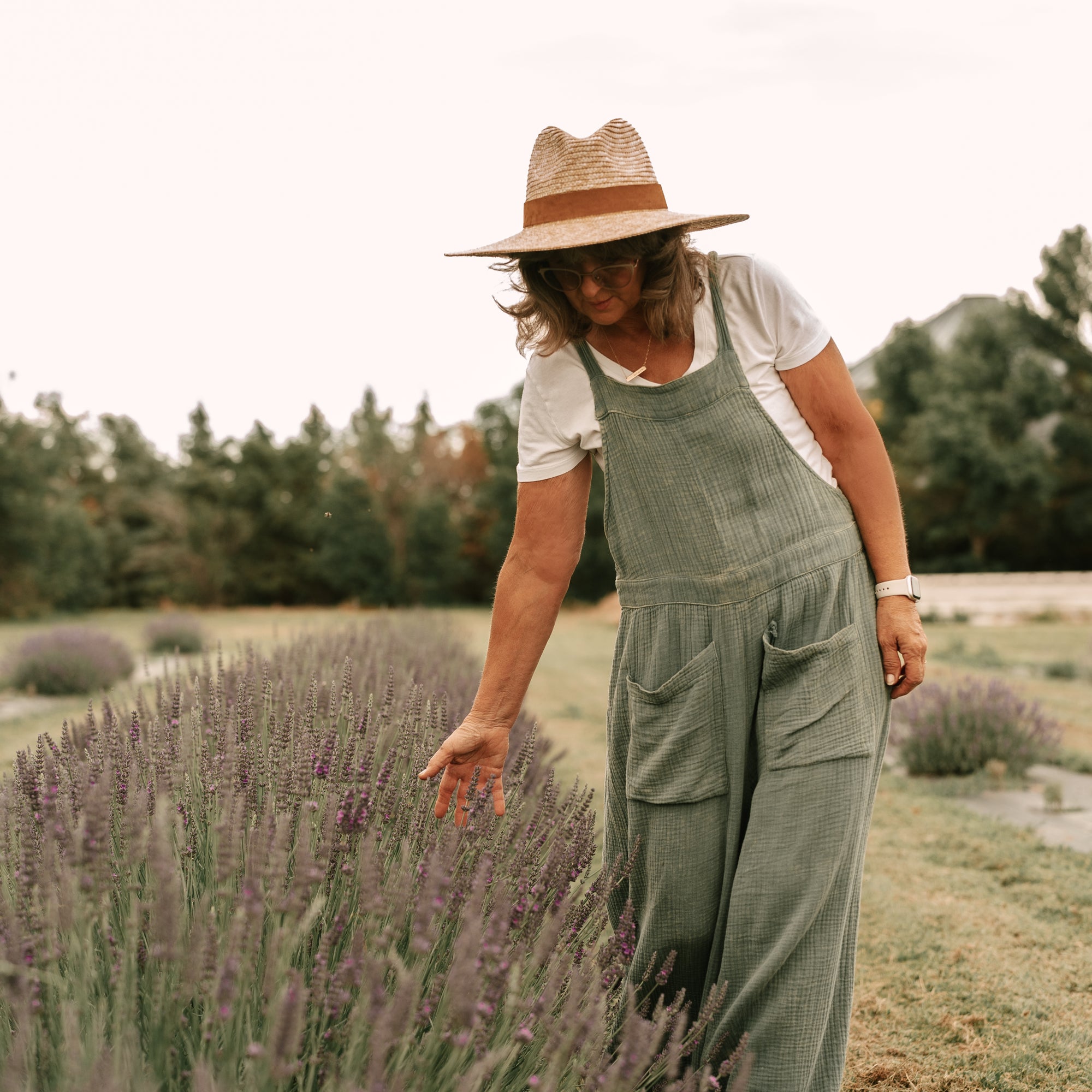 THE BENEFITS OF LAVENDER