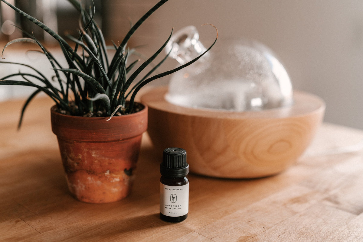 Lavender Essential Oil