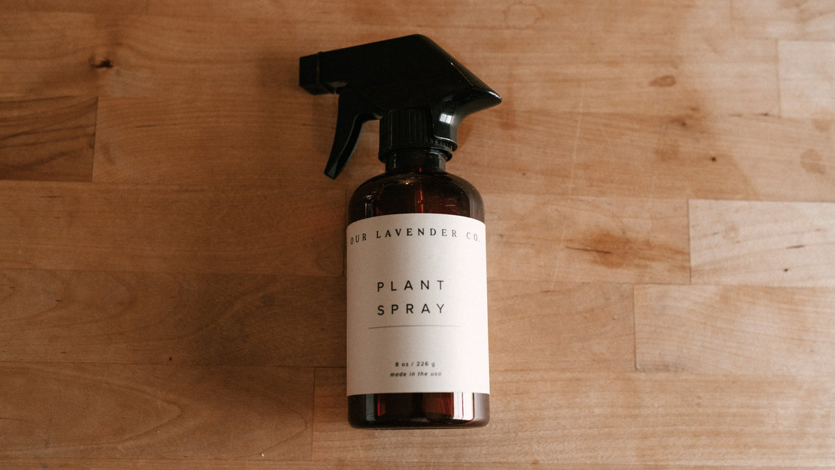 Lavender Hydrosol Plant Spray