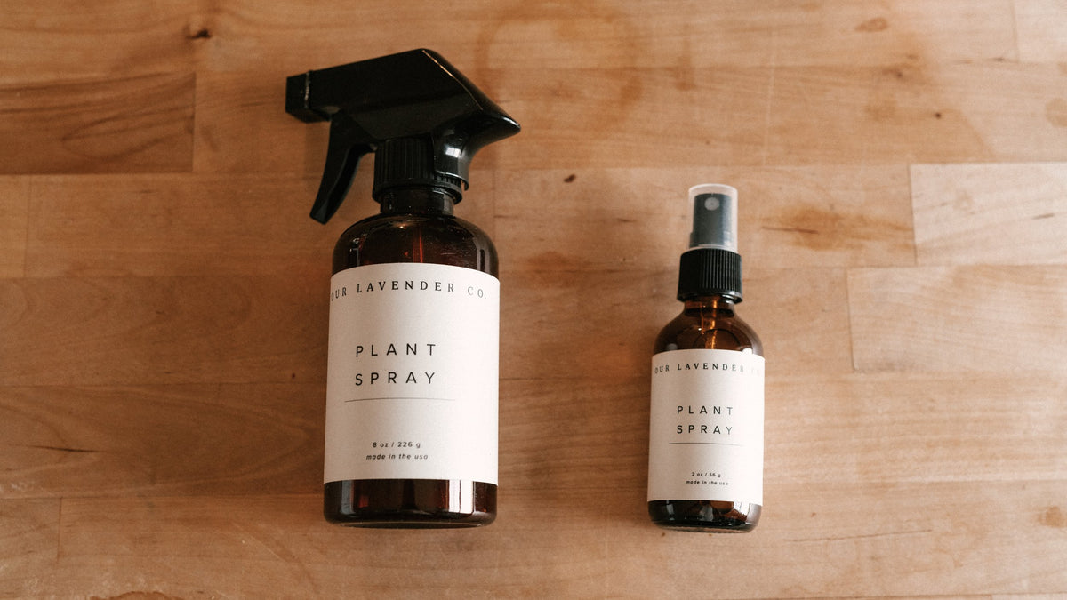 Lavender Hydrosol Plant Spray