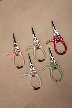 Pruning Shears