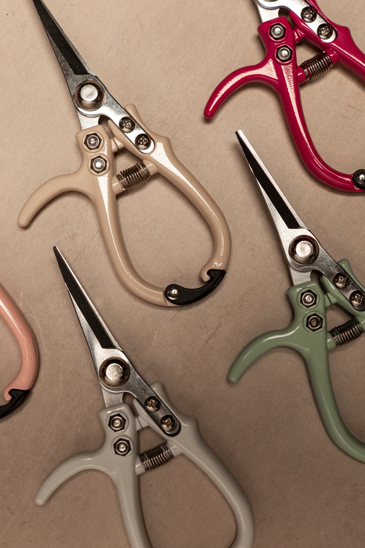 Pruning Shears
