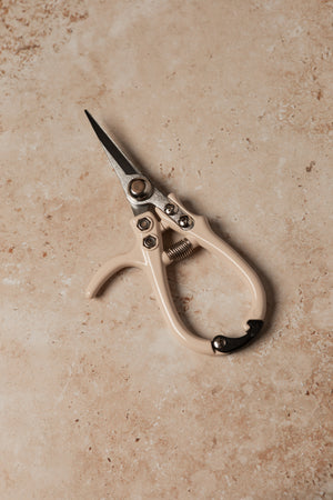 Pruning Shears