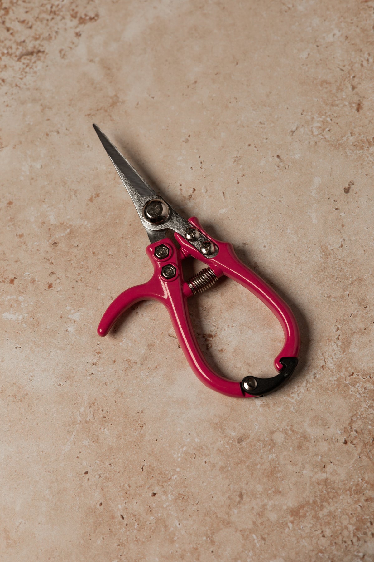 Pruning Shears