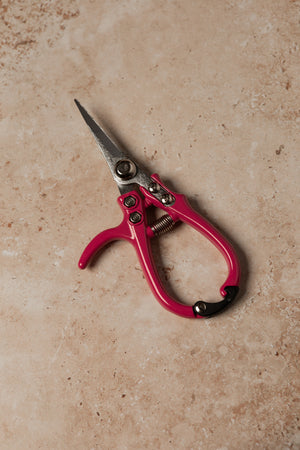 Pruning Shears
