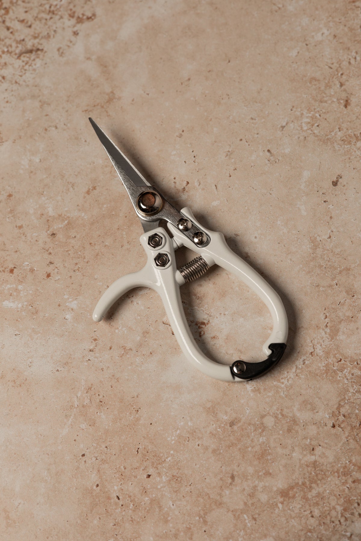Pruning Shears