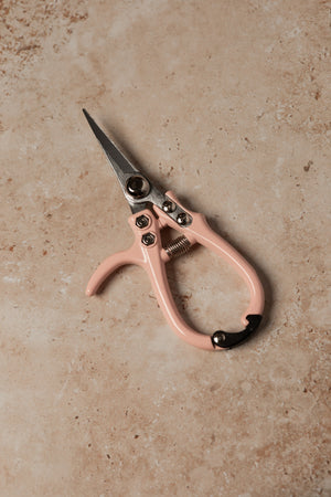 Pruning Shears